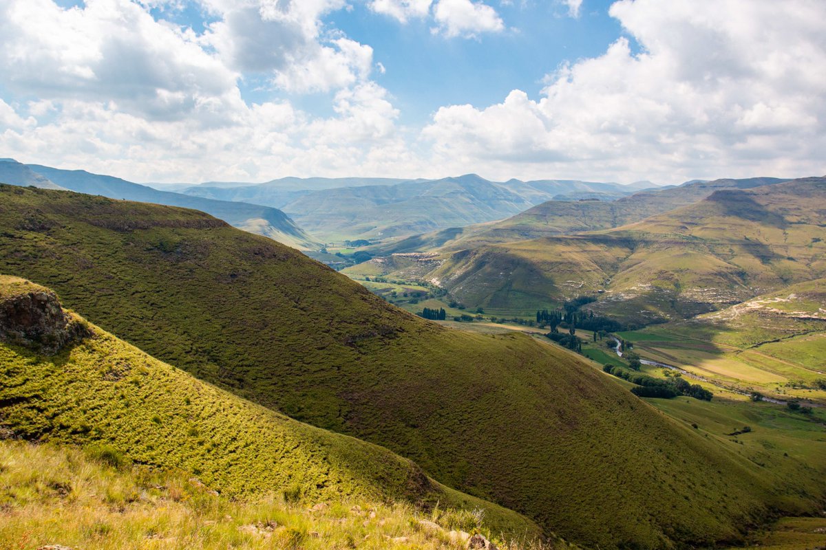 WWF South Africa tweet media