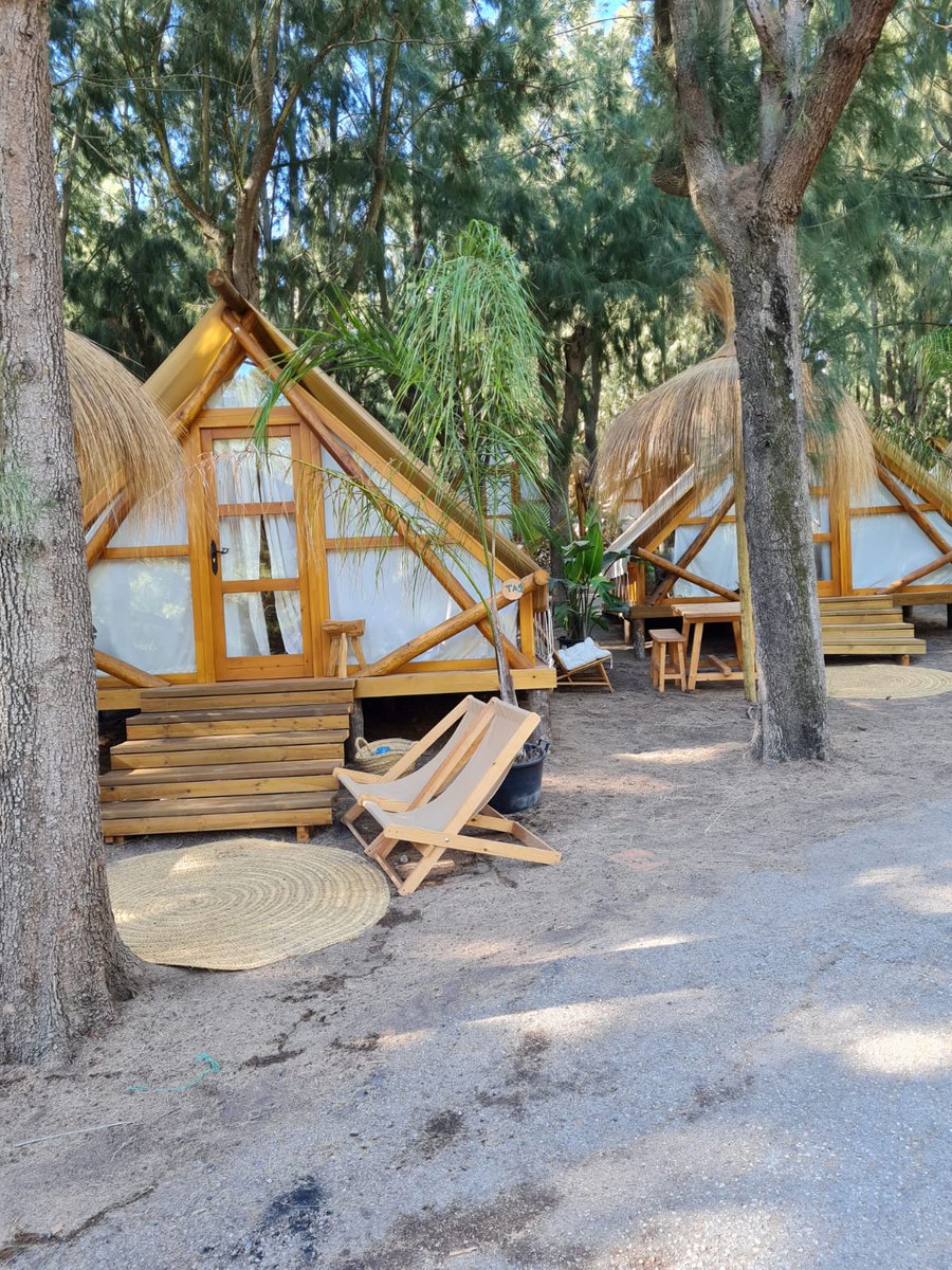 TurismoAND's tweet photo. 📢 Destacamos el papel del #gampling para diversificar la oferta alojativa de la provincia de #Cádiz.

✅ DT @maruhermon_cs ha visitado el camping Paloma de Tarifa, que cuenta con esta nueva forma de alojamiento.

🗣 “La innovación es clave para que el sector siga creciendo" 💪🏻. https://t.co/YnS24Lxz3F
