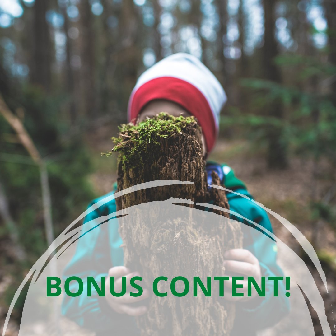 outdoorteacher's tweet photo. ๐ฟ Bonus Feature!
Book your place on our #NaturebasedPractice Training & receive:
Access to The Outdoor Teacherโs Forest School Activities Online Training Course including 100 videos and resources and step by step instructions! PLUS MORE! https://t.co/d3x82mWGCP #greencare https://t.co/npuWehxhEF