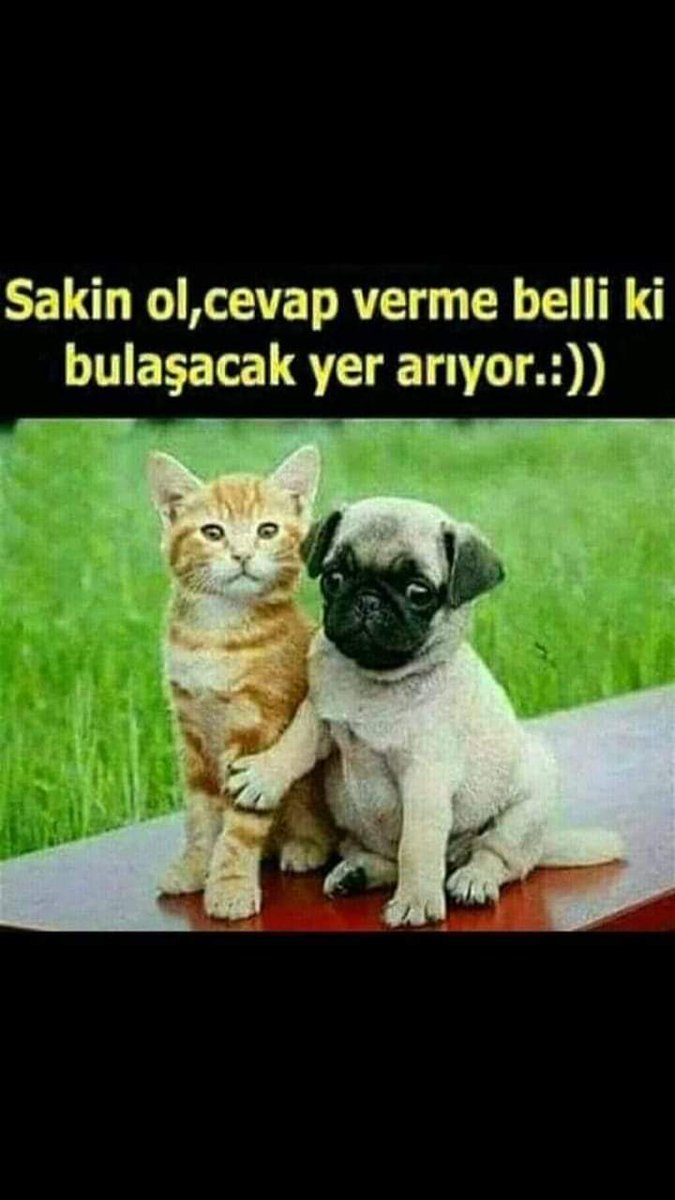 Olgun KÜRT BEYLER 

RESİMSİZ YAZMAAA😉