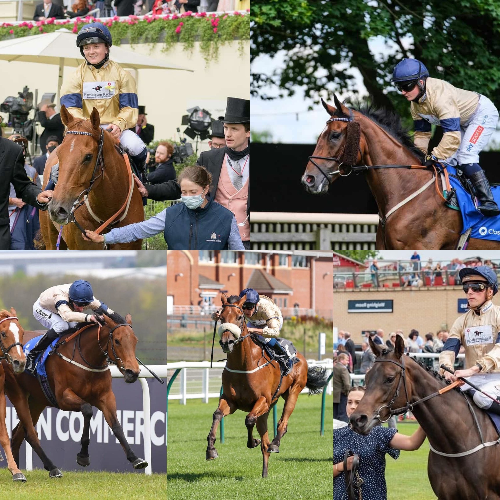 Hambleton Racing on Twitter: