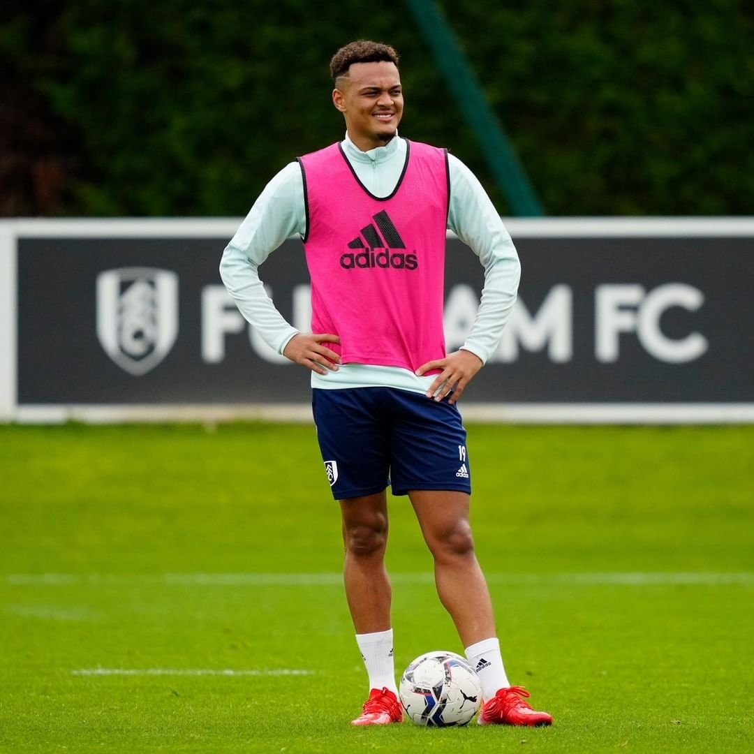 ⚽️🔥 <a href="/FulhamFC/">Fulham Football Club</a>