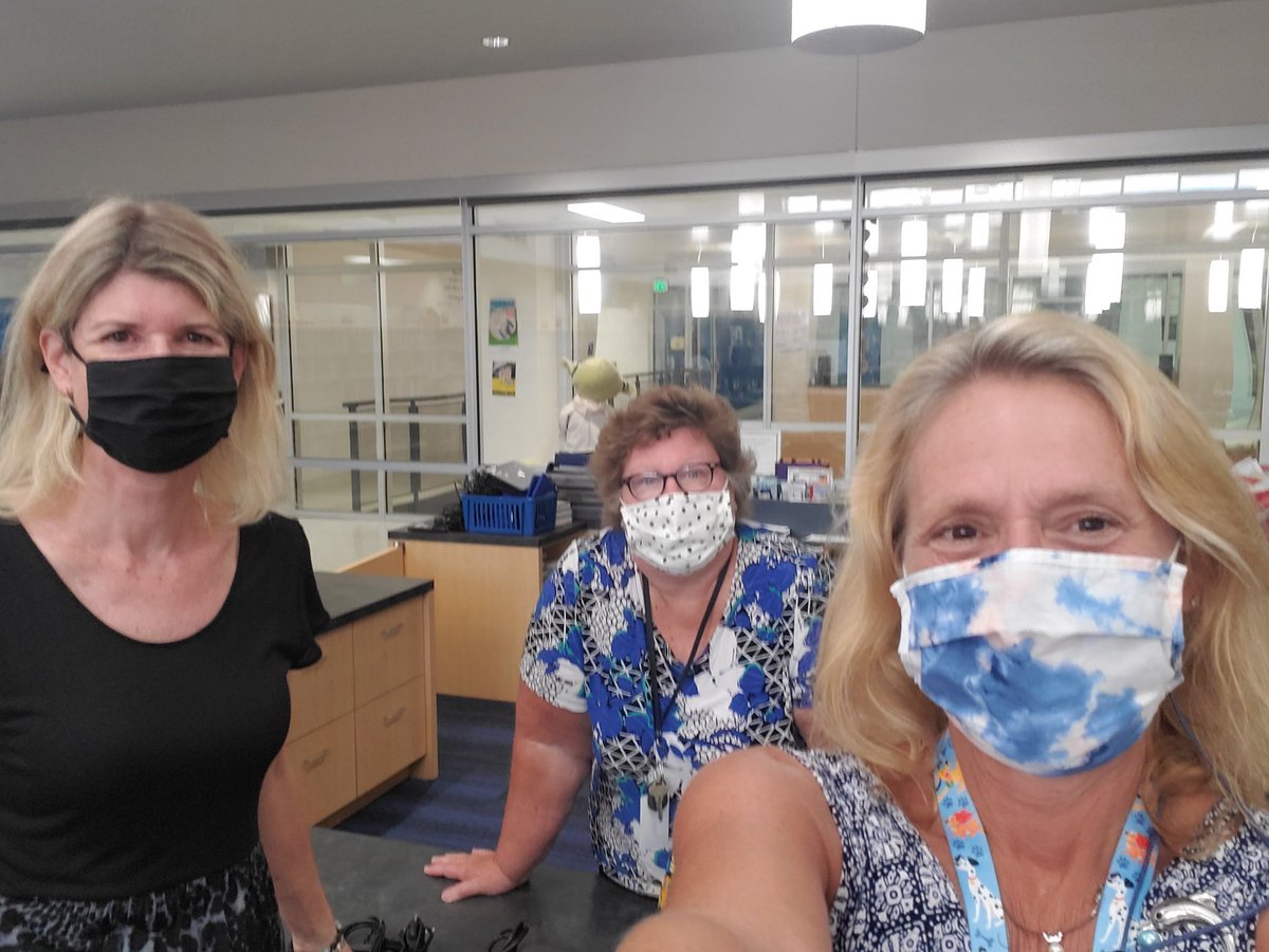 Hollandmslibrary tweet media