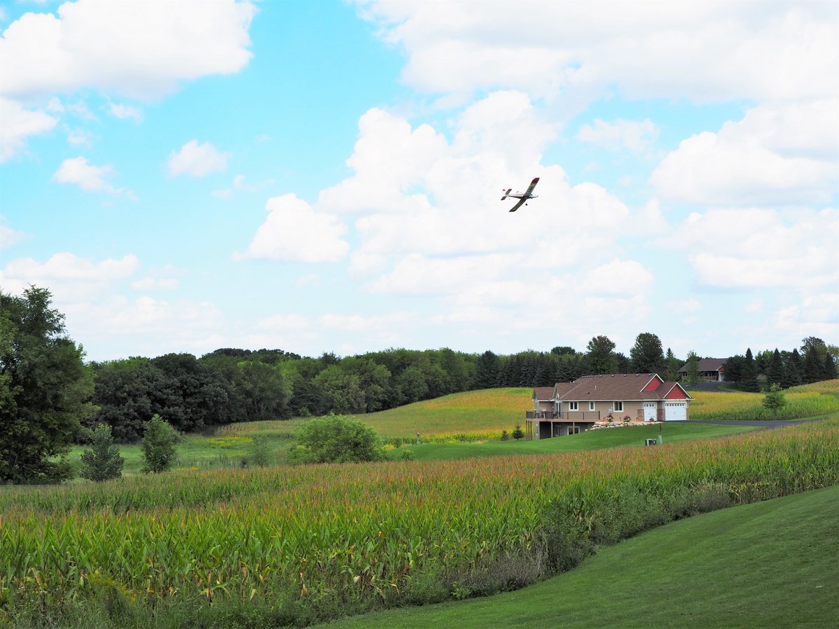 ScottSwcd's tweet image. Another year of successful aerial seeding cover crops is complete! 
This year a mixture of rye, rapeseed and turnip was applied across 13 fields in Scott County. These seeds will provide cover throughout the winter and provide extra nutrients to crops planted next spring
