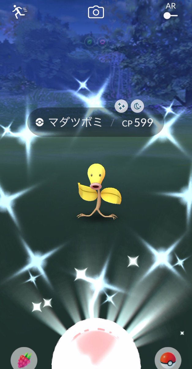 マダツボミ色違い