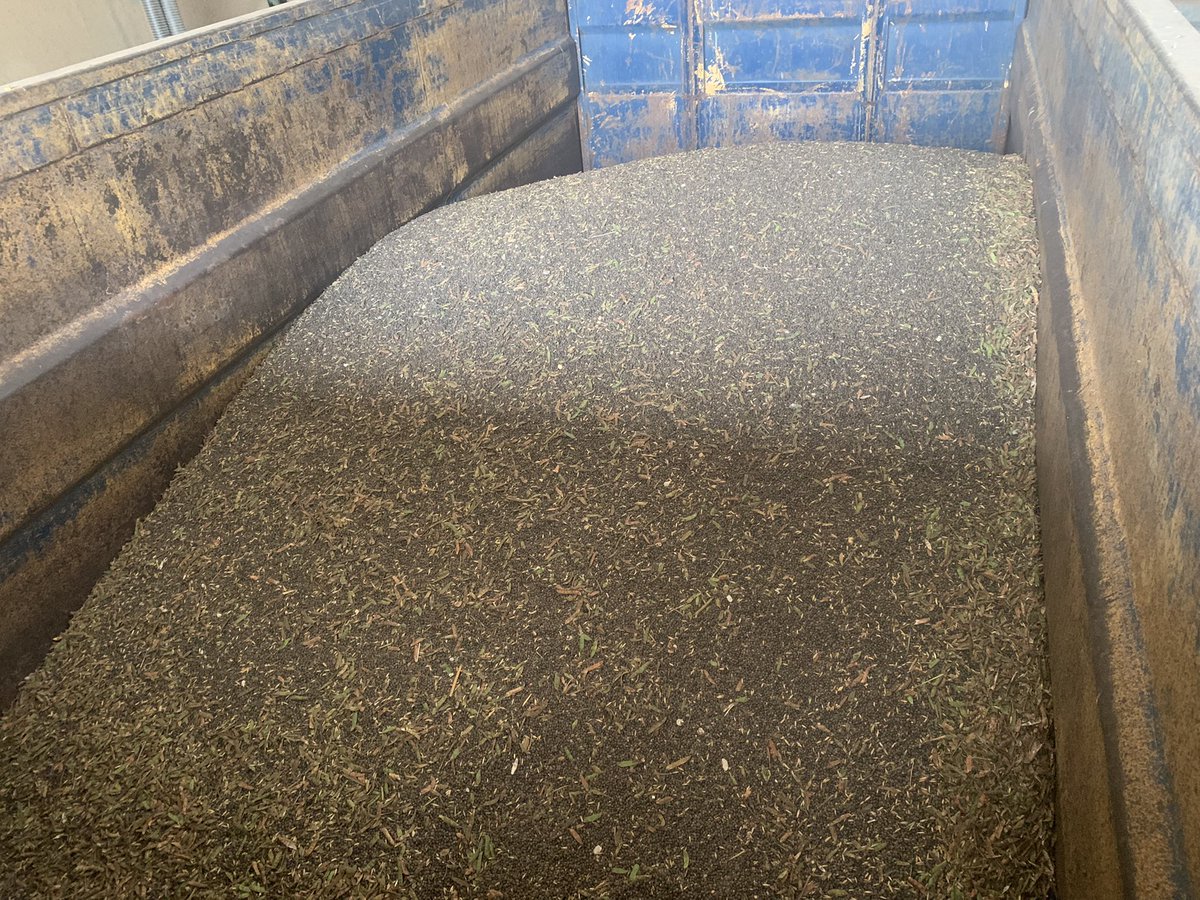 MacaroniOrganic's tweet photo. Nitrogen for 2023 harvest taken care of. Vetch component of cover crop safely in the shed. This years covers thankful of inch of rain couple of weeks ago. #COGsfarmjng #organic https://t.co/jTD1CmCSCL
