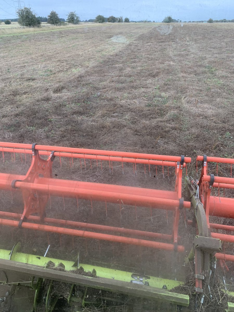MacaroniOrganic's tweet photo. Nitrogen for 2023 harvest taken care of. Vetch component of cover crop safely in the shed. This years covers thankful of inch of rain couple of weeks ago. #COGsfarmjng #organic https://t.co/jTD1CmCSCL