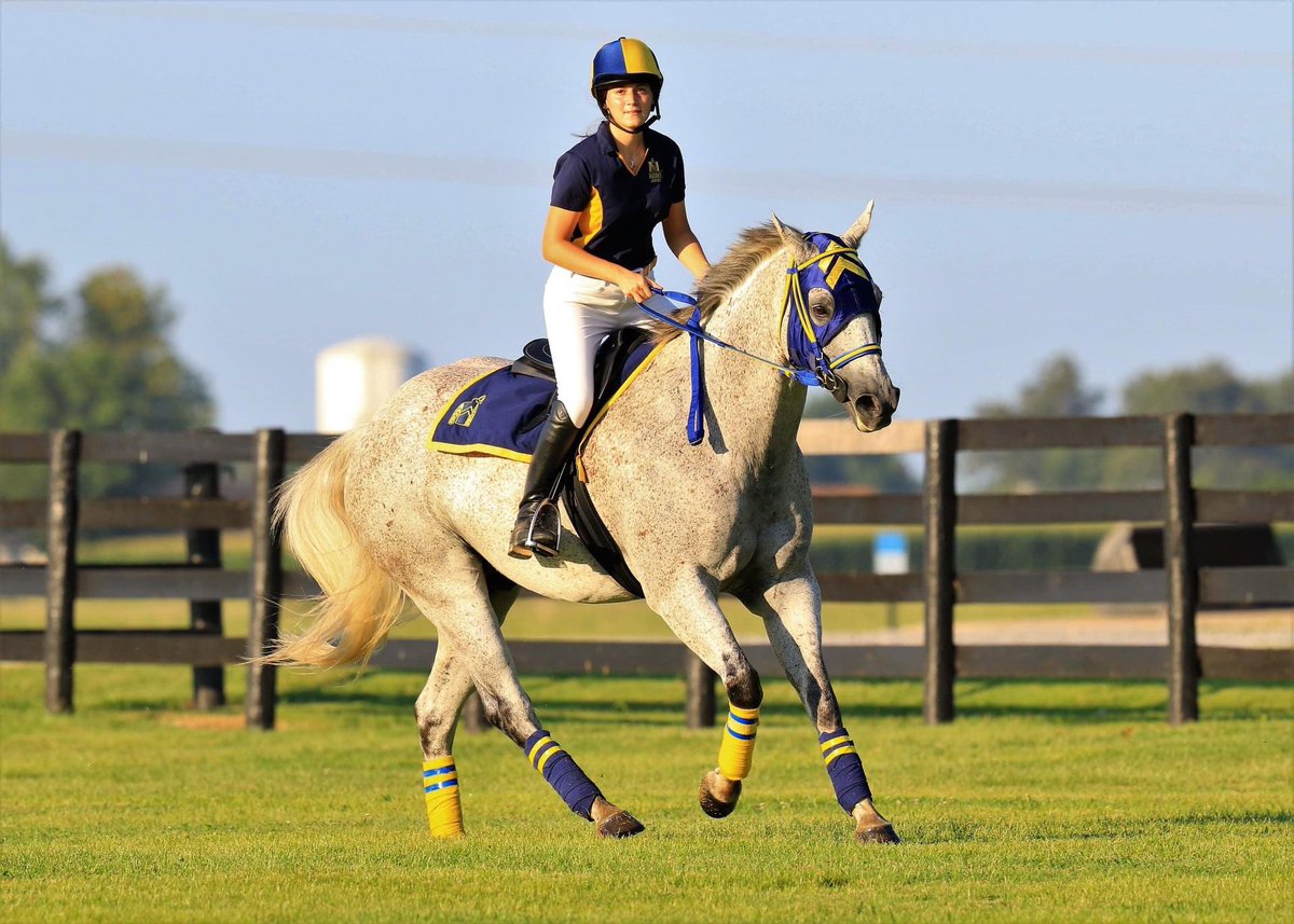msuagriculture's tweet photo. Who is ready to cheer on and #ClearTheTrack for Racer 1?! π
First game is tonight at 7pm.
#murraystate #murraystateagriculture #murraystateequine #racer1 #equine #equinecollege https://t.co/NpEcDjl6yU