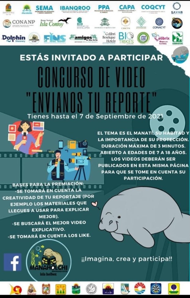 Vivo en Isla Mujeres tweet media