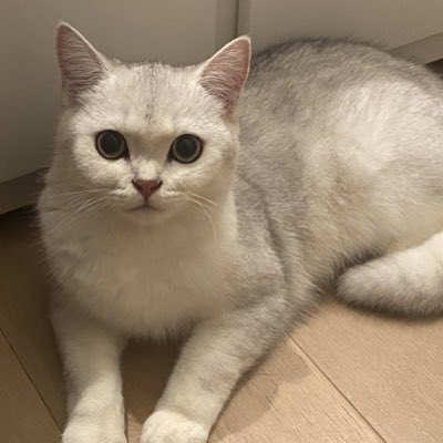#新头像