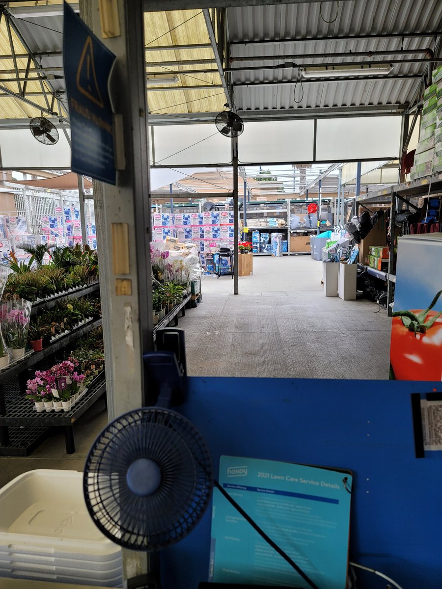 garyincali's tweet photo. All my customers at Walmart garden center. https://t.co/ZdJykkw36h