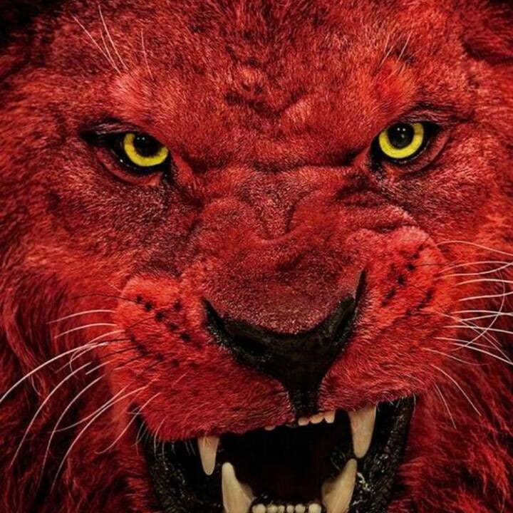 music_kellys's tweet photo. #NewProfilePic https://t.co/MK0kudYaNl