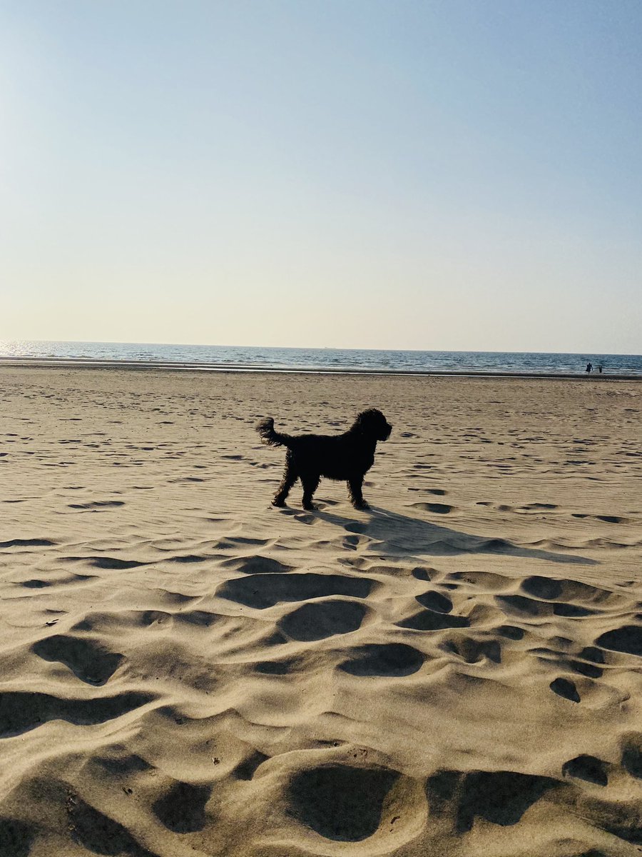 joyceboyd1's tweet photo. @WindyWilson88 #ayrbeach https://t.co/AfEj1qjvAu