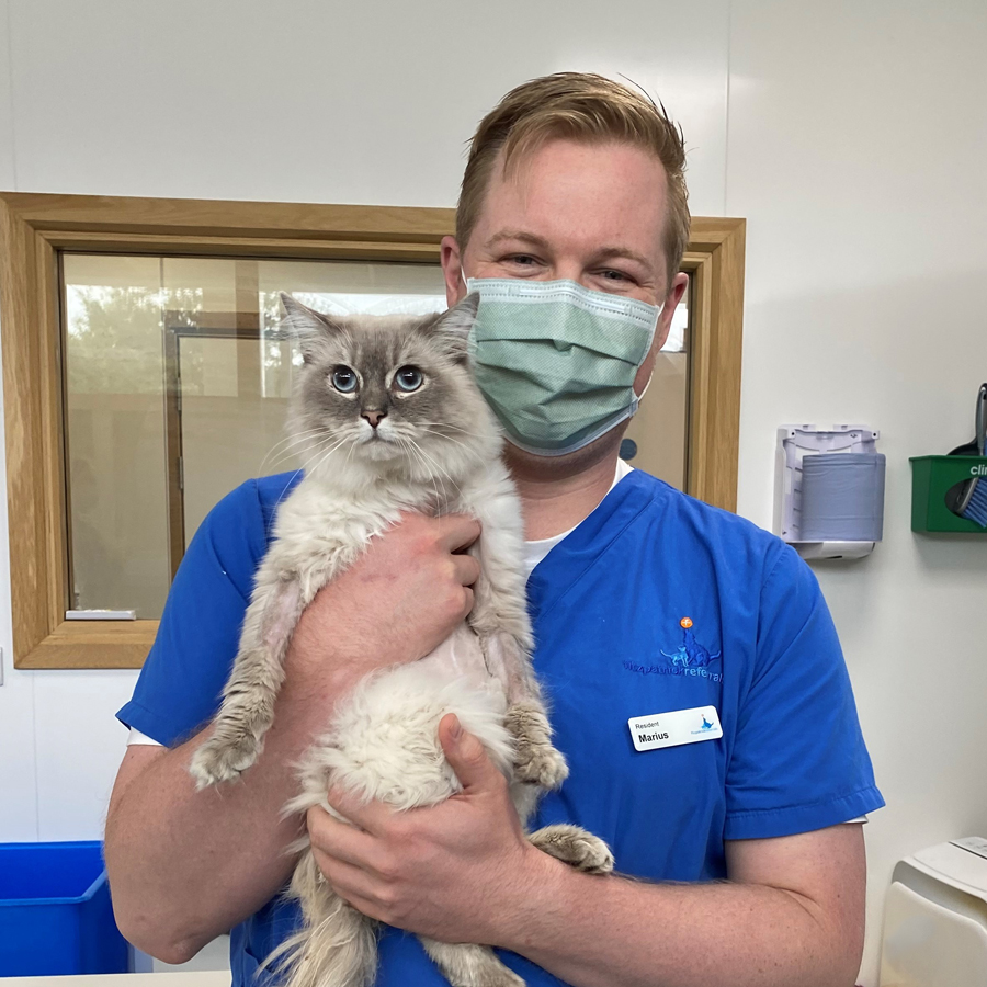 fitzpatrickref's tweet image. Handsome Freddie loves to explore &amp;amp; is known for getting himself into pickles! Found in a v.poor state, lethargic &amp;amp; dehydrated, he was diagnosed with #pyothorax (bacterial infection in the chest cavity) &amp;amp; referred for specialist treatment.
Read his story &amp;gt; bit.ly/3t5JaTC