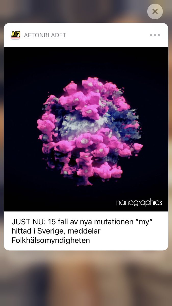 therealelena's tweet photo. Förlåt men ’my’? https://t.co/mEmAzsssF1
