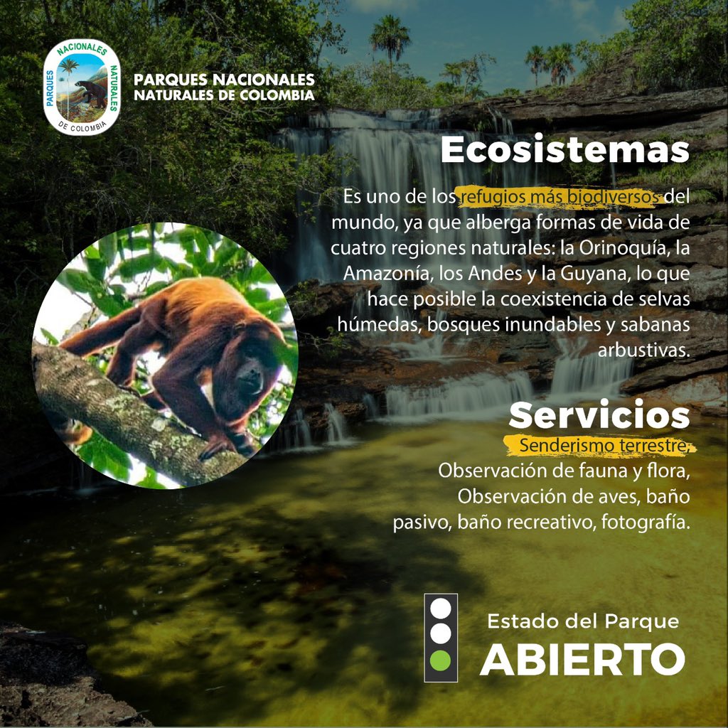 ParquesColombia's tweet photo. #SabiasQué… En Colombia existe un paisaje sin igual que alberga formas de vida exuberantes? En el Parque Nacional Natural Sierra de la Macarena, puedes vivir una aventura mágica, entre ellas, conocer el río más bello del mundo: Caño Cristales. #VisitoMisParques @MinAmbienteCo https://t.co/jC874B9it9