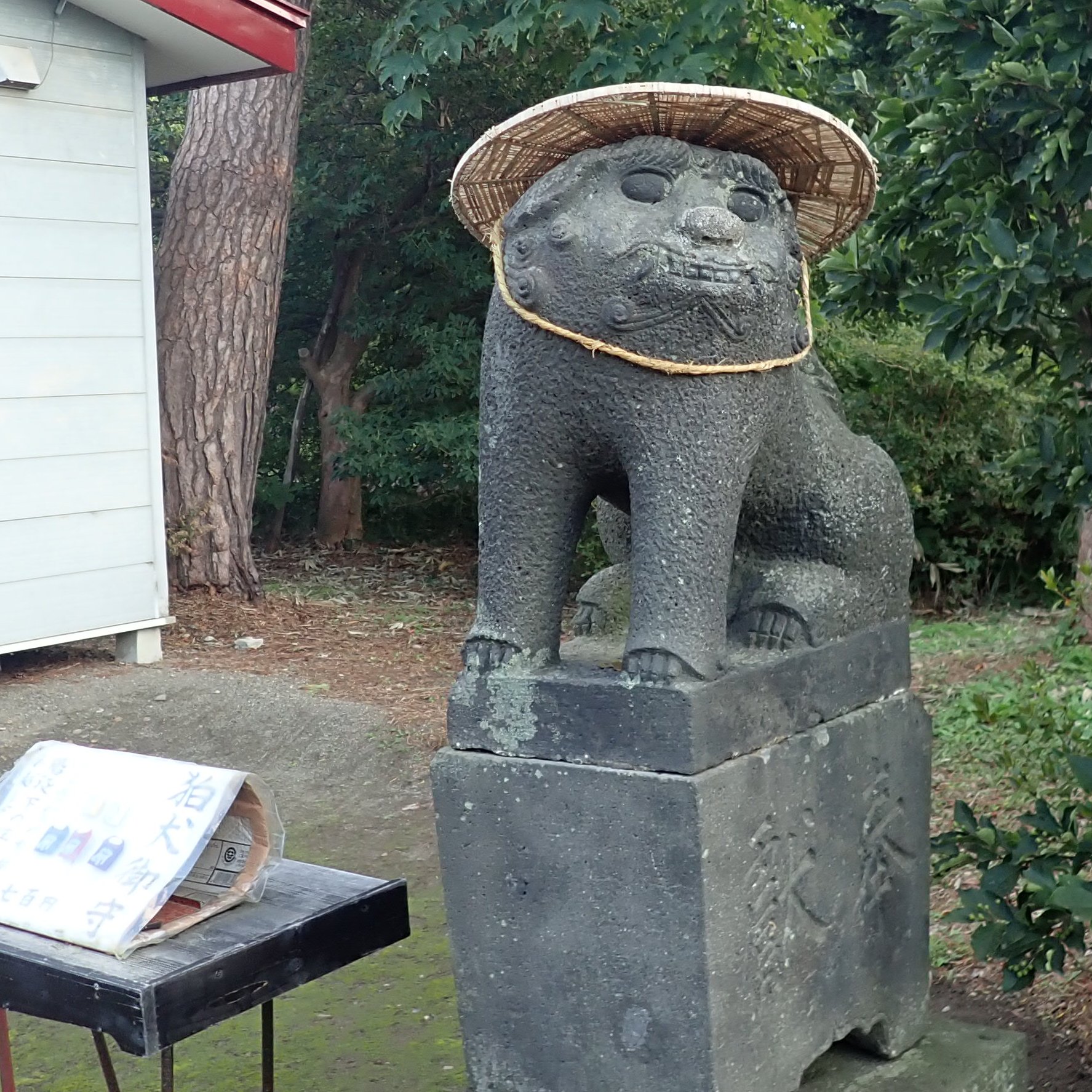 世界で一番可愛い狛犬 Twitter Search Twitter