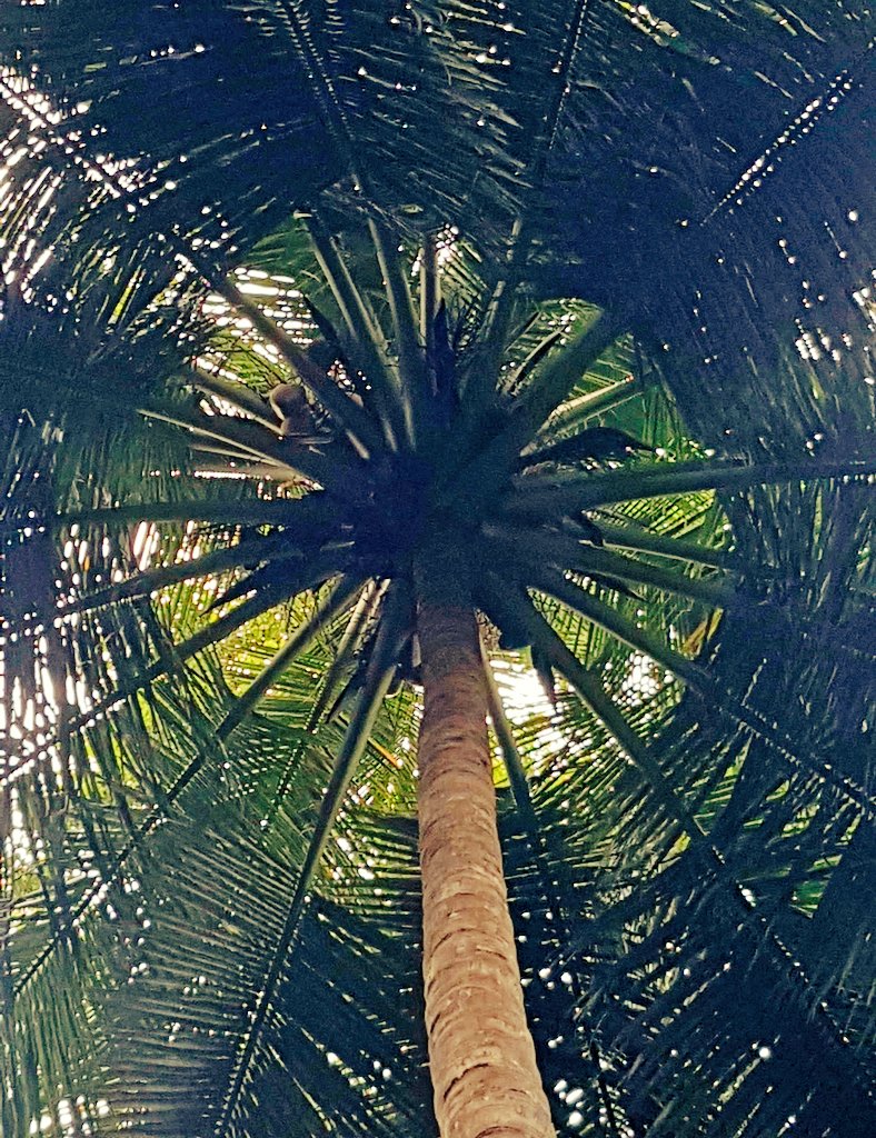 Chitra Narayanan tweet media