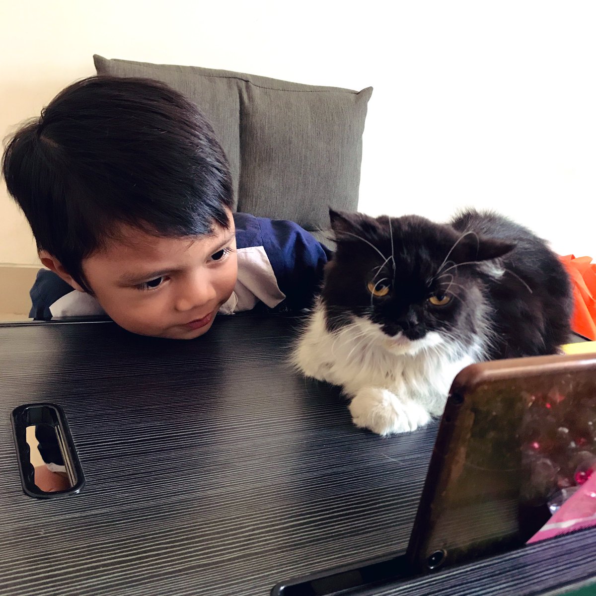 mjmutiana's tweet photo. Ada yang ikutan sekolah online gaaaiiss.. 😘 #cat #lovecat #catlovers #kay https://t.co/z5bPB6BW3P