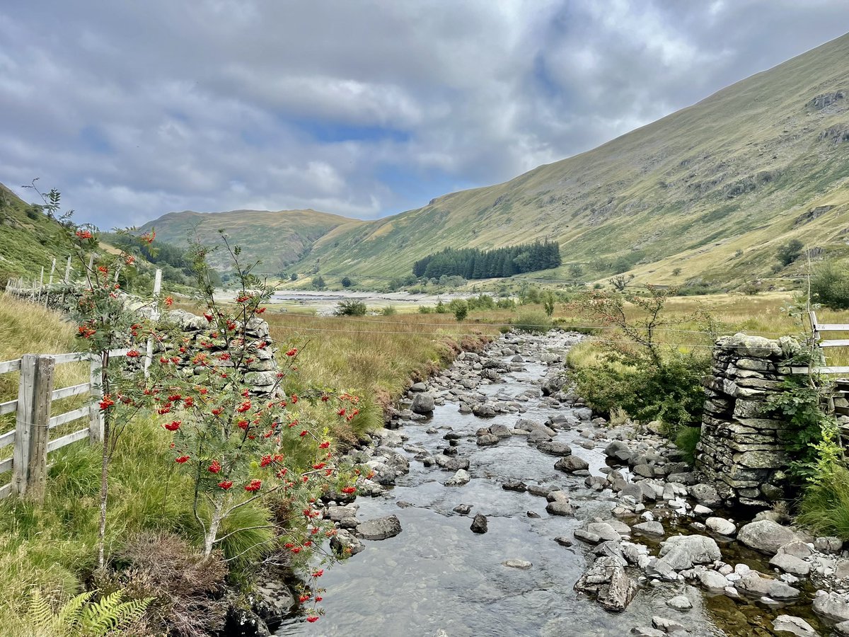 NYorkshireTony 🌳 tweet media