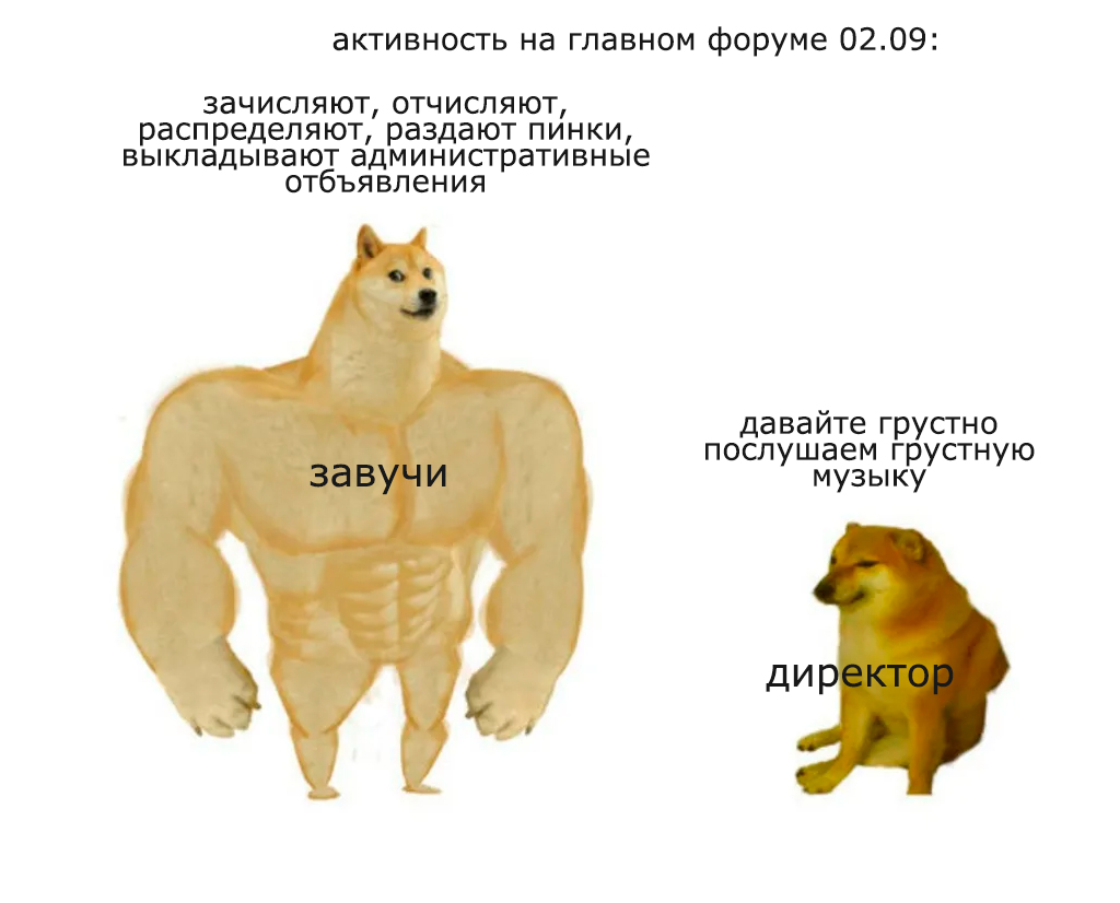 Y_Light's tweet image. традиционный грустнявый эфир 3 сентября