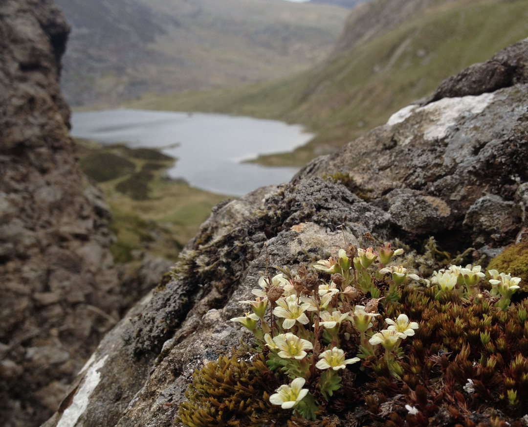 FieldStudiesC's tweet photo. Nature spotting top tips: "Take your time, immerse yourself in a habitat and observe the differences in the species around. Taking lots of pictures as well as some field sketching can be a great way to start your nature spotting journey." Lauren, Lancashire #fscfinds https://t.co/Fid0OivBzo