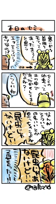 本日の出オチ幻覚です
#ビヨンド学園20000組 