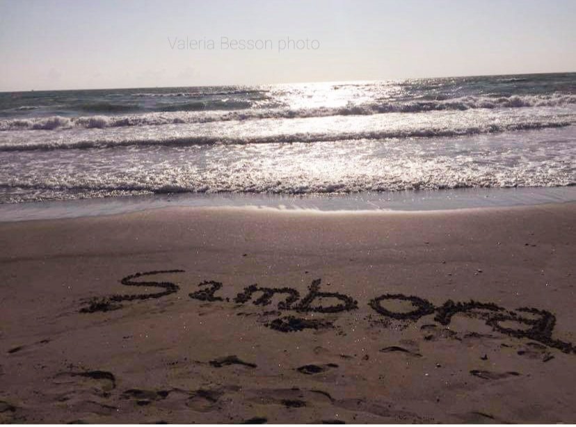 SamboraItalia's tweet photo. Our SamboraBeach! ⛱
Thanks to @ValeriaBesson who made this!
#RichieSamboraItalia #richiesambora #richiesamborafan #guitar #guitarist #music #musician #singer #songwriter #bonjovi #samboraddicted #therealsambora #samboraforever #RS #rock #samborarock #fanpag #samborabeach https://t.co/j9Hw8xGv13