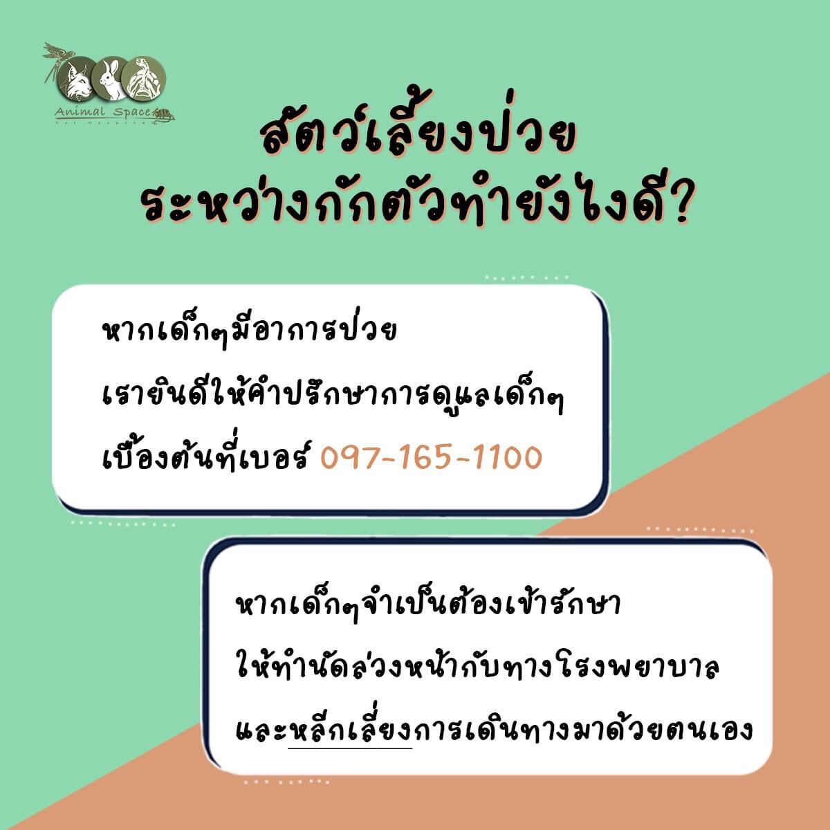 pet_space's tweet photo. เหล่าคำถามที่มักจะเจอในช่วงนี้ วันนี้เรามาคลายข้อสงสัยกันค่า 🥰
https://t.co/XfOBMFagUK

#COVID19 #โควิดวันนี้ #กระต่าย #สัตวโลกน่ารัก #รักษาสัตว์ #สัตวแพทย์ #animalspace https://t.co/nuy5olgJwJ