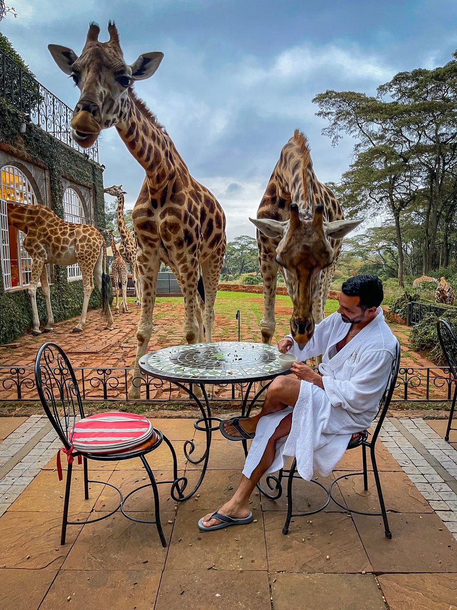 WilMochileando's tweet photo. ¡Buenos días África! 🥺🦒😍 https://t.co/qlaPW6dhwk