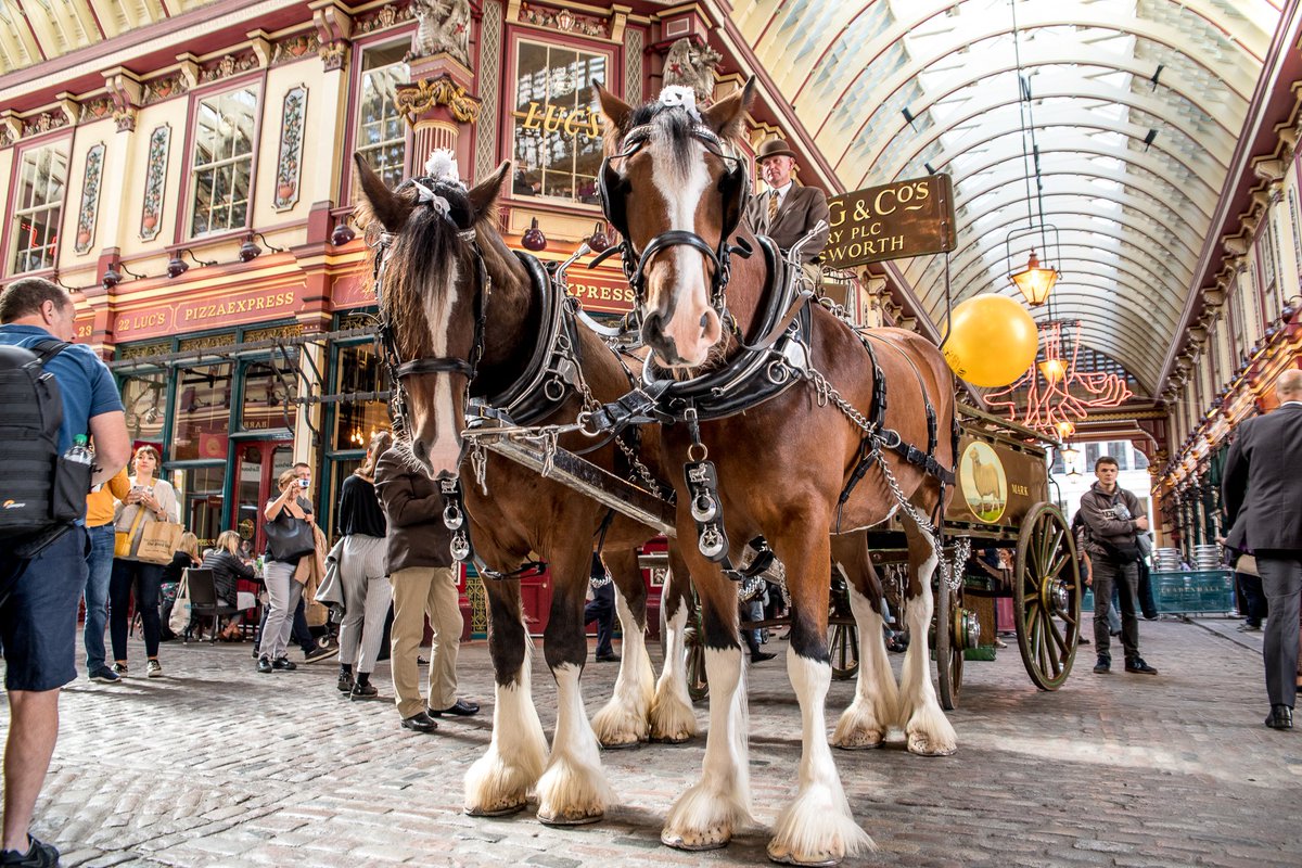 vestryec1's tweet photo. We're galloping into August with an incredible prize up for grabs. This September we are celebrating 190 years of Young's and to mark the occasion our dray and horses will be joining us on September 16th for The Great Greenwich tour. 

You could be joining us, see thread... https://t.co/JJg87IdlWr