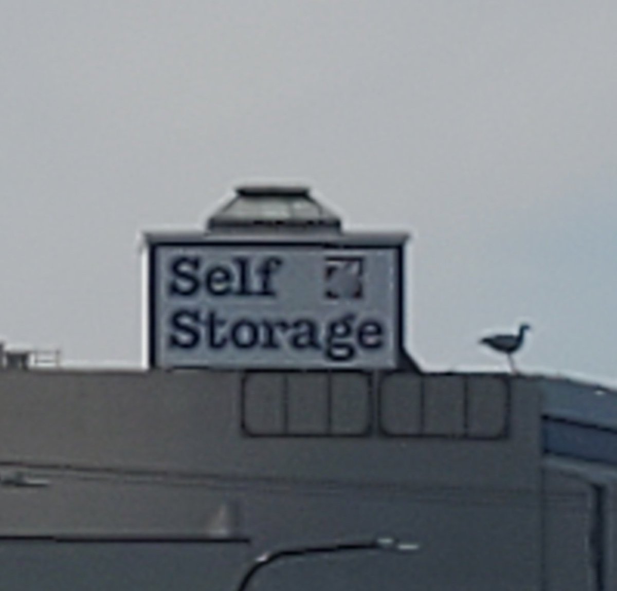 billeecox's tweet photo. This is where I wedge my#self into when I #cantfit into #anywhereelse https://t.co/s9HXkYkrkO