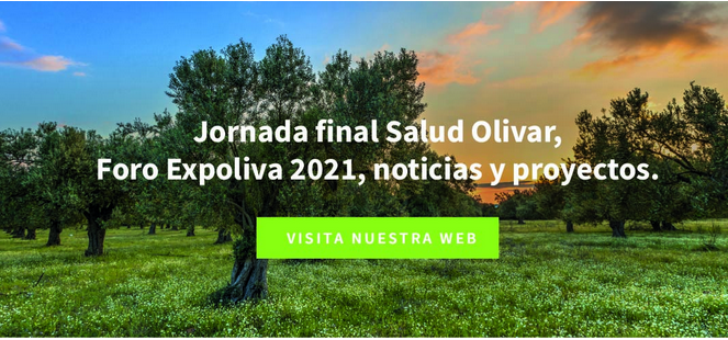 BiovexoProject's tweet photo. Check the recent newsletter of our partner @Domca_Spain and its research group #OliveTree Health introducing @BiovexoProject. Good example of pooling resources! #H2020 #biopesticides #planthealth

https://t.co/J3e2rQz59P https://t.co/Cf6BkDxdfe