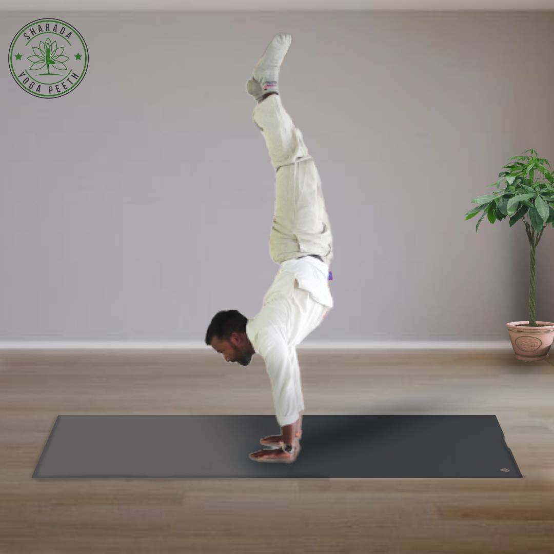 YogaPeeth's tweet photo. Yoga is about rising to a new level⁣ of balance and competence in all aspects of life.
#yoga #yogapractice #yogapose #yogateacher #yogabalance #yogalife #mindfulness #peaceofmind #sharadayoga #sharadayogapeeth https://t.co/q45AsCaETs