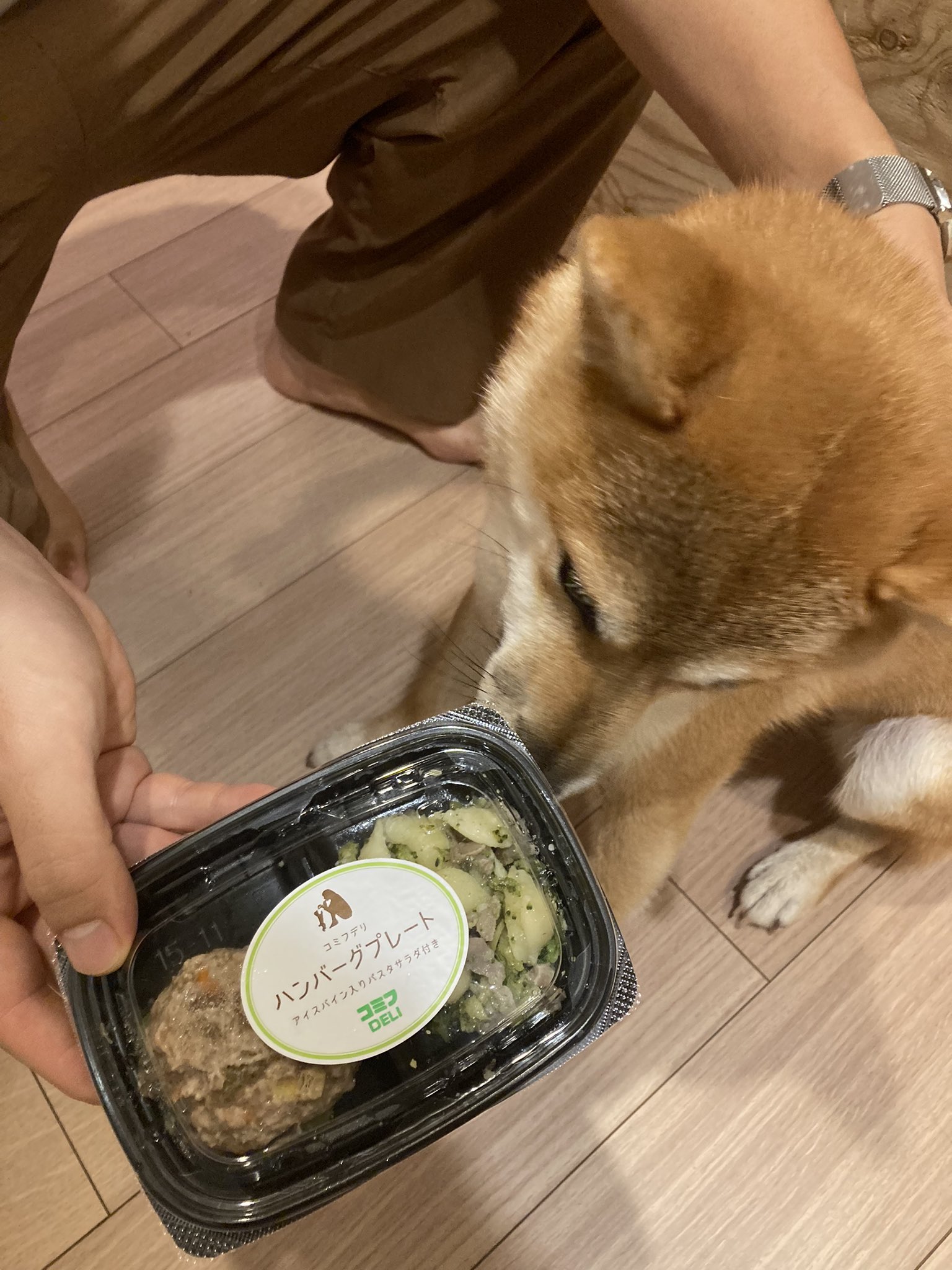 تويتر 犬用ハンバーグ البحث في تويتر
