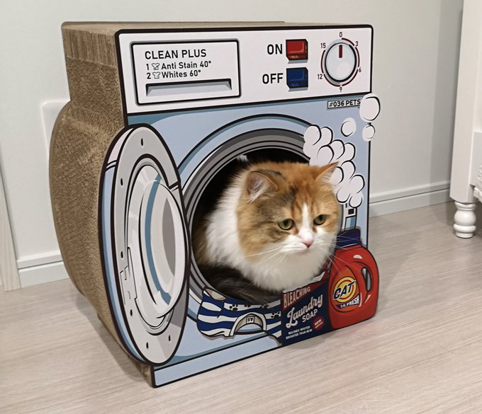 ツイッターのセンシティブツイートのオンオフ、固定されて解除できなくなっちゃったんだけど、これからはネコチャンの写真や健全なアリスちゃんの絵をアップしても全部強制センシティブになってしまうのだろうか😔 