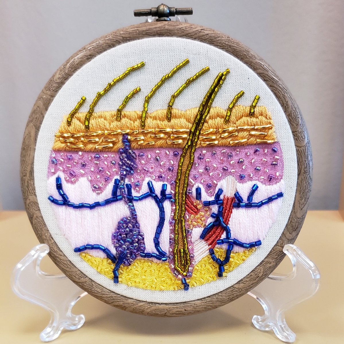 What better present could a lover of #dermpath and #histology ask for? 

Such an awesome addition to my office decor 😍

ambroidering.com
#anatomy #embroidery #anatomicalart #pathart #dermatology #pathology