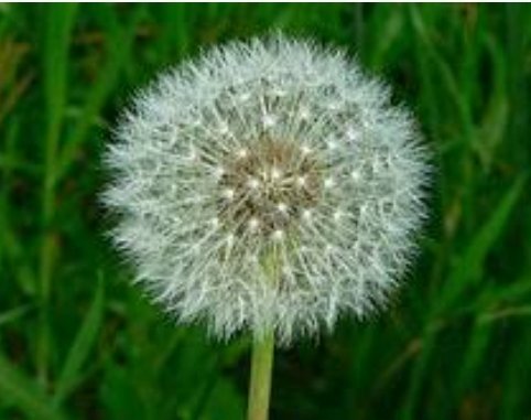 Carleen Ceraldi on Twitter: "Today's Inspirational Tweet: Blow Me https