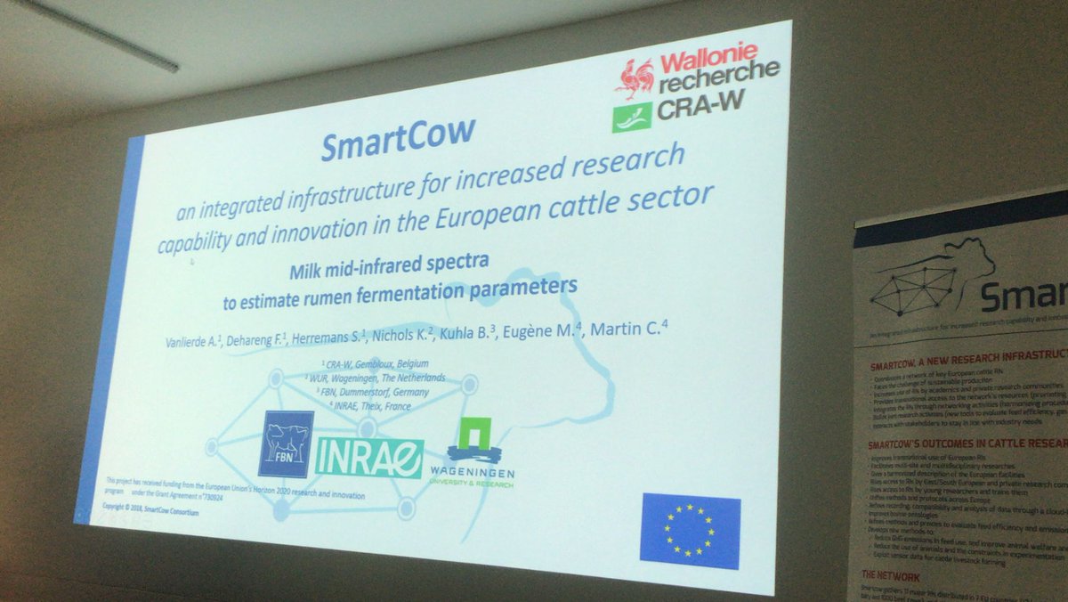 cow_smart's tweet image. SmartCow Session: 
&quot; #Digestibility and intake become repeatable traits in young #bulls with at least 7 days of measurement&quot; presented by R. Bellagi
&quot; #Milk mid-infrared spectra to estimate #rumen fermentation parameters&quot; presented by A. Vanlierde