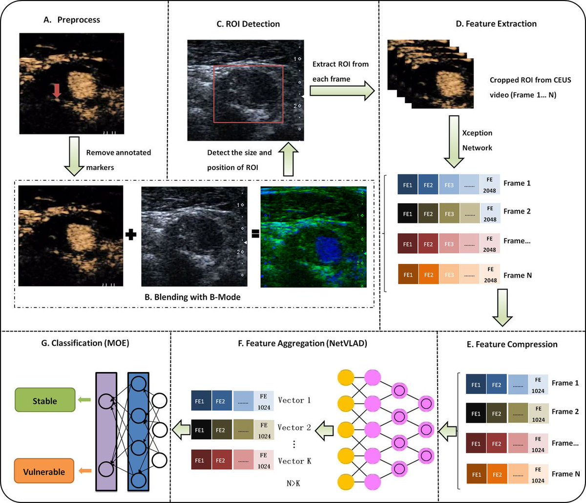 BMJ Open A leading multidisciplinary medical journal