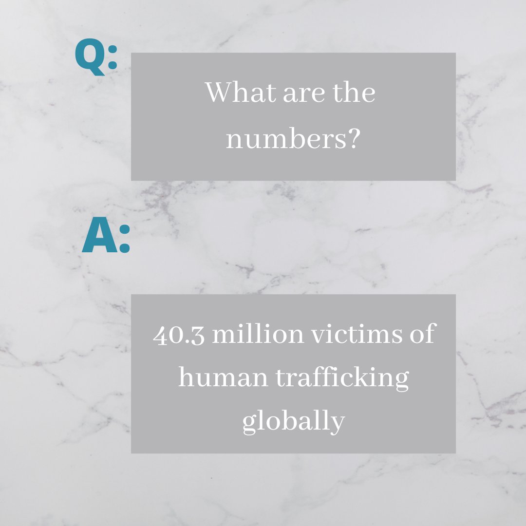Sun Gate Foundation tweet media