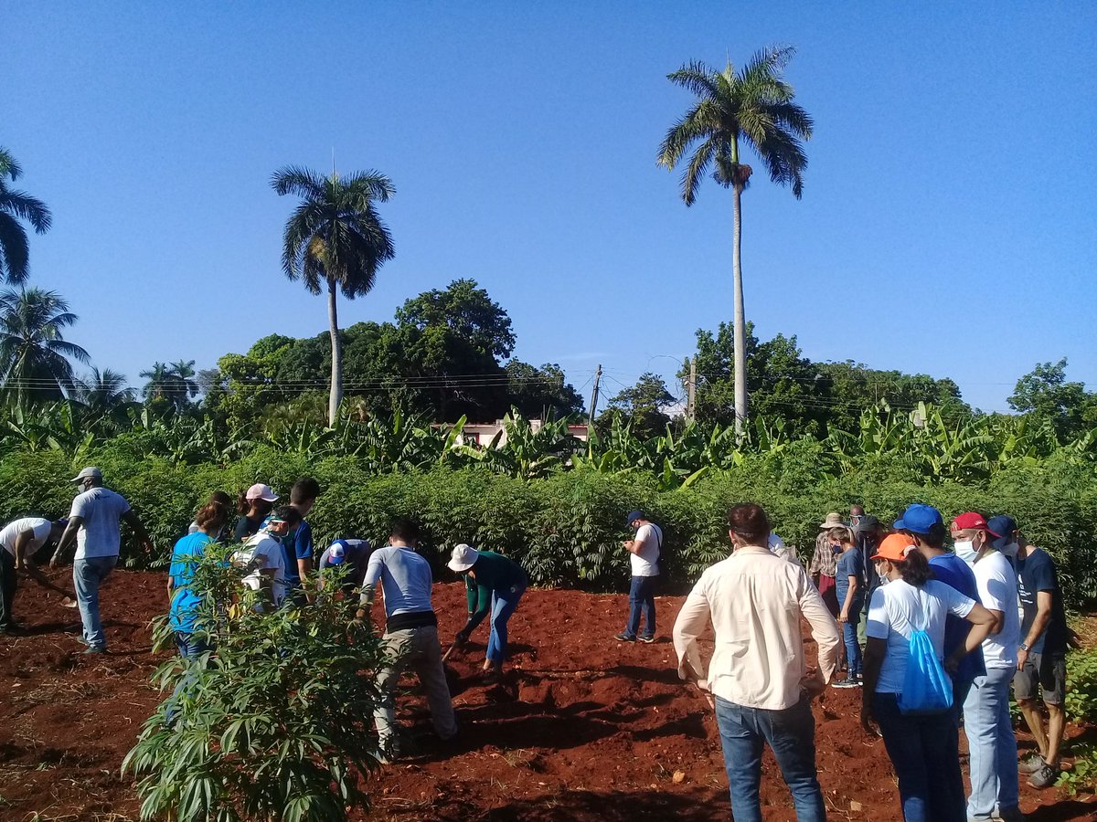 Los jóvenes capitalinos al frente de todas las tareas de impacto.# A Cuba ponle corazón. # UJC.# Somos Continuidad.