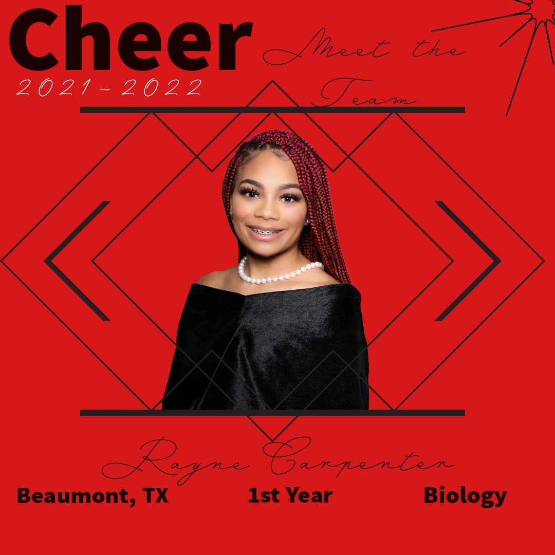 Lamar University Cheerleading tweet media