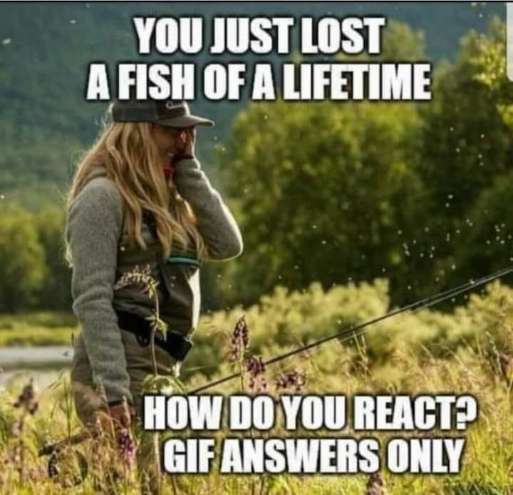 Jennifer tweet media