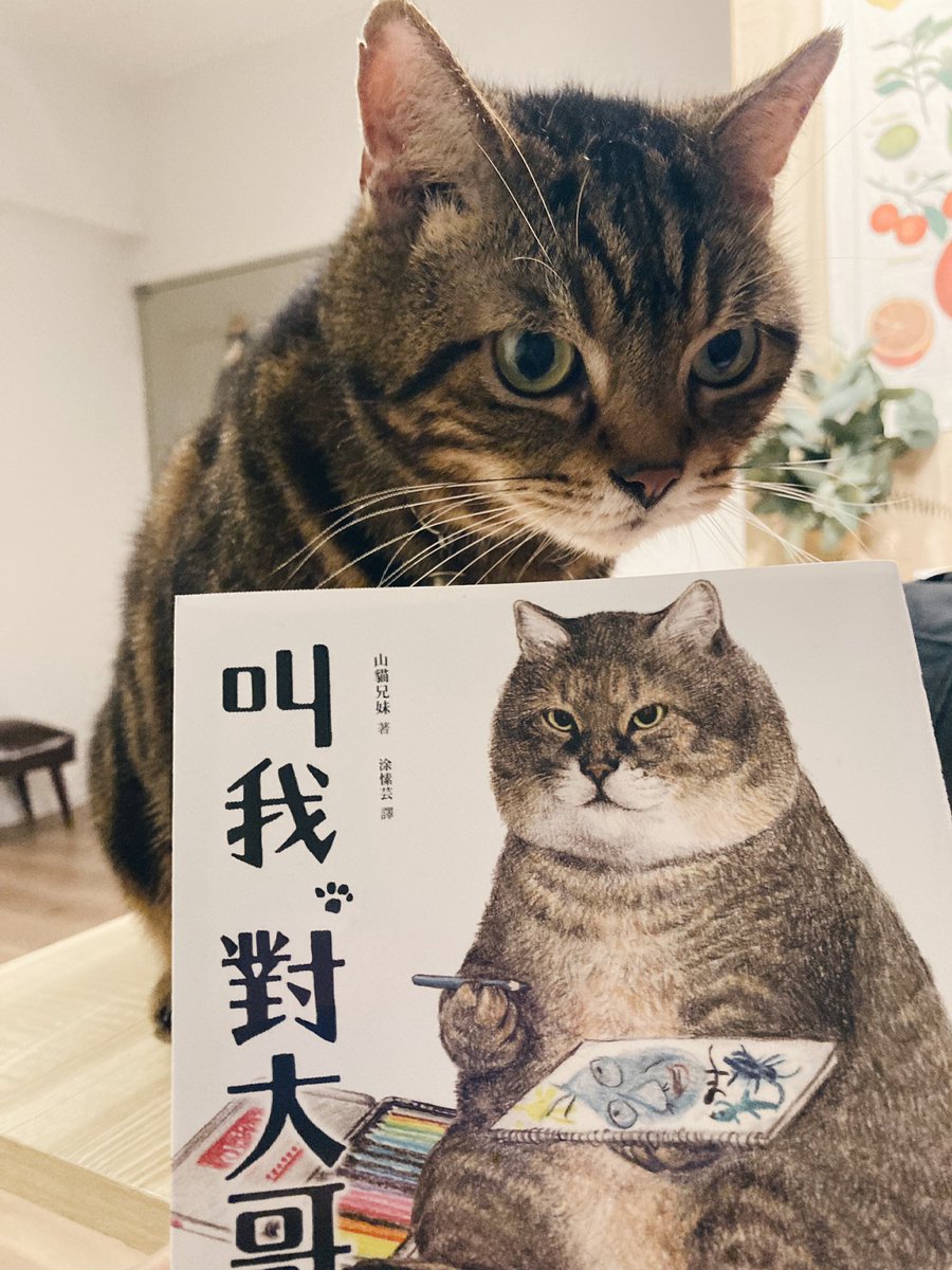 Top Tweets For 叫我對大哥on Twitter Instalker