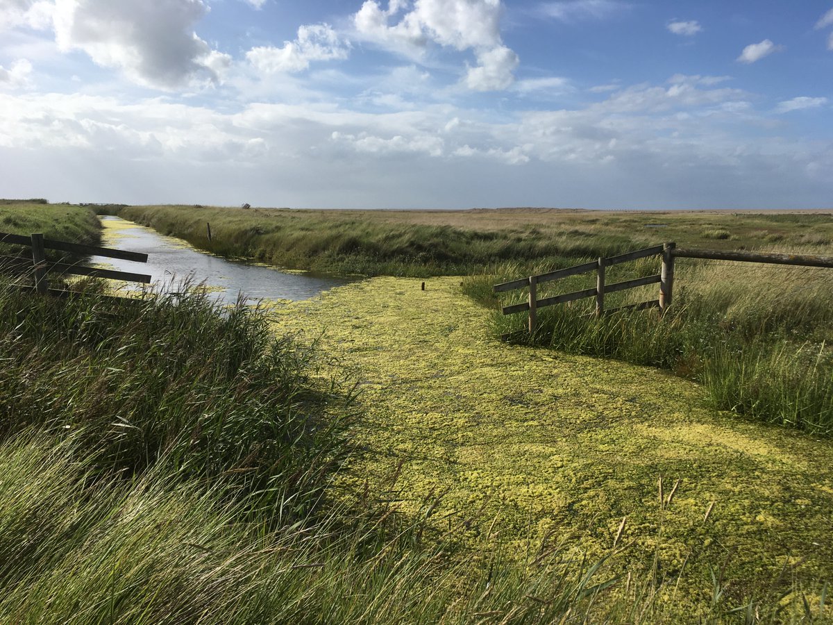 EndGable's tweet image. This time last year, mixed skies above a saltmarsh landscape.