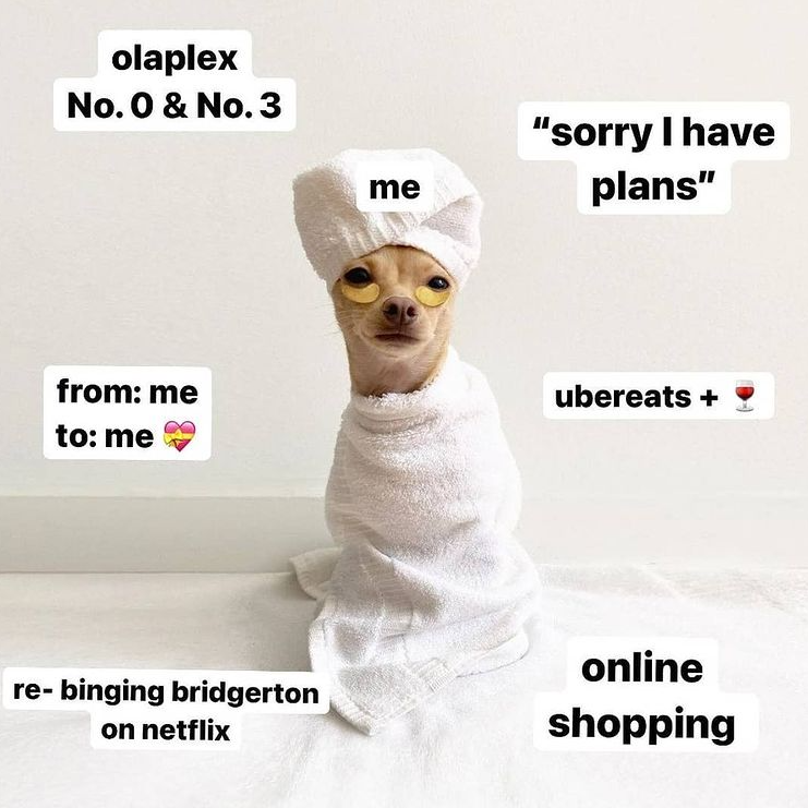 dermacaredirect's tweet image. Anyone elses Saturday morning looking like this too? Saturdays are for self-care after all!

Reminder 10% off Olaplex this weekend!
Code: HAIRHERO

📸: @boobie_billie @olaplexau