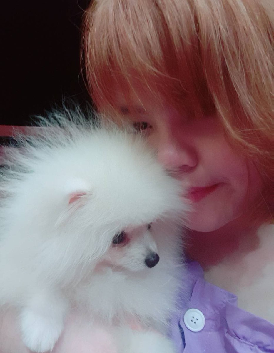 minnieminjin's tweet photo. ว่างมั้ยคะ อยากชวนเธอมาเลี้ยงน้องด้วยกัน ♡
#ARMYSeIcaDay https://t.co/H6KAY4UCXl