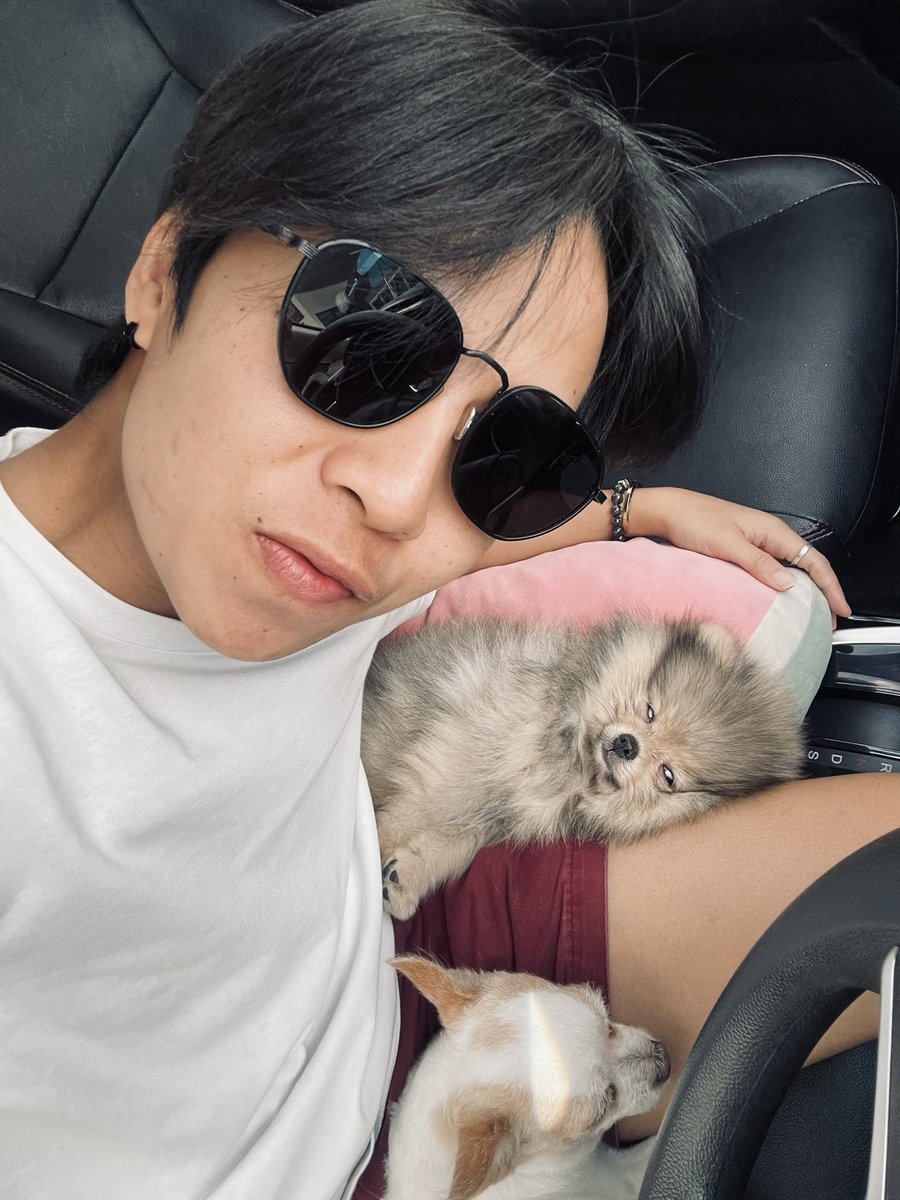 🅶︎🅸︎🅸︎🅶︎🐶 tweet media
