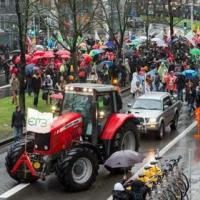 Протест в нидерландах собака. Корсика протесты. Забастовка фермеров во франции. Голландские фермеры залили навозом площадь. Французский фермер.